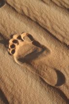 945821_10202044604892386_240733060_n