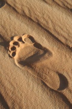 945821_10202044604892386_240733060_n